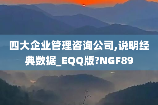 四大企业管理咨询公司,说明经典数据_EQQ版?NGF89