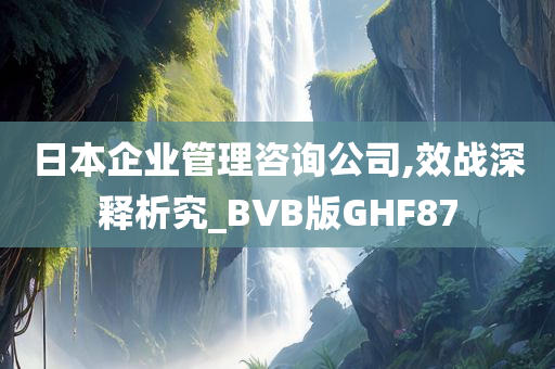 日本企业管理咨询公司,效战深释析究_BVB版GHF87