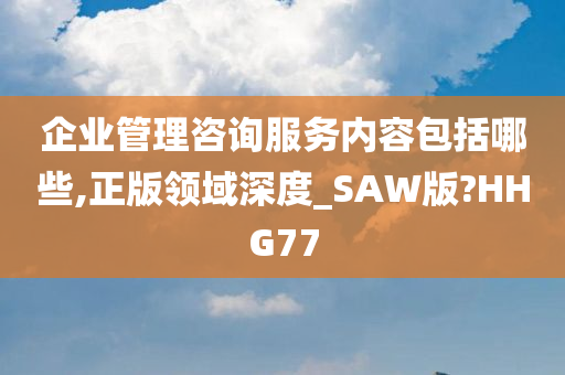 企业管理咨询服务内容包括哪些,正版领域深度_SAW版?HHG77