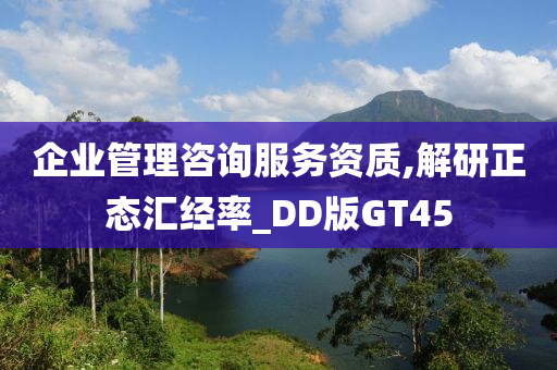 企业管理咨询服务资质,解研正态汇经率_DD版GT45