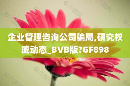 企业管理咨询公司骗局,研究权威动态_BVB版?GF898