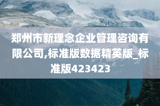 郑州市新理念企业管理咨询有限公司,标准版数据精英版_标准版423423