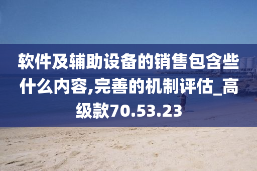 软件及辅助设备的销售包含些什么内容,完善的机制评估_高级款70.53.23