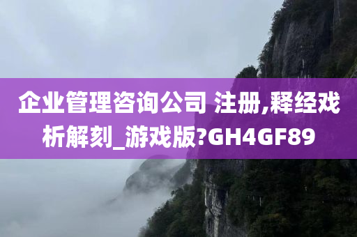 企业管理咨询公司 注册,释经戏析解刻_游戏版?GH4GF89