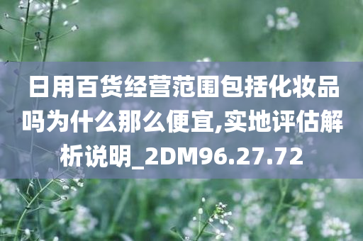 日用百货经营范围包括化妆品吗为什么那么便宜,实地评估解析说明_2DM96.27.72