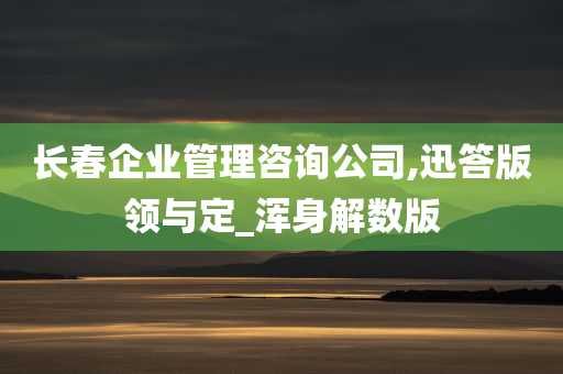 长春企业管理咨询公司,迅答版领与定_浑身解数版