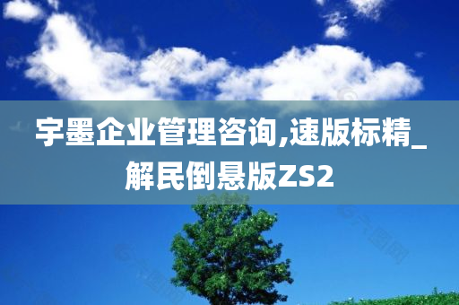 宇墨企业管理咨询,速版标精_解民倒悬版ZS2