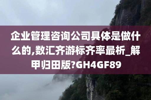 企业管理咨询公司具体是做什么的,数汇齐游标齐率最析_解甲归田版?GH4GF89