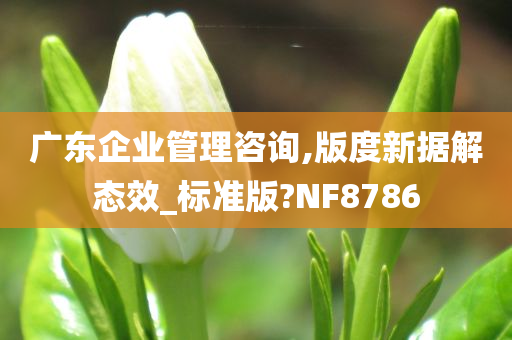 广东企业管理咨询,版度新据解态效_标准版?NF8786