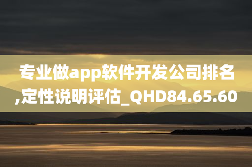 专业做app软件开发公司排名,定性说明评估_QHD84.65.60