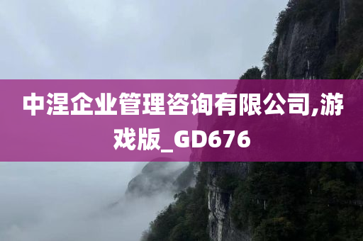 中涅企业管理咨询有限公司,游戏版_GD676