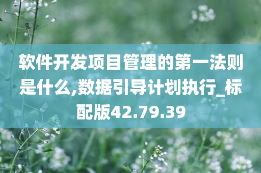 软件开发项目管理的第一法则是什么,数据引导计划执行_标配版42.79.39