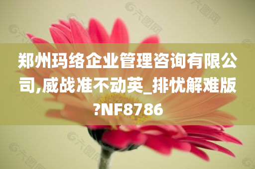 郑州玛络企业管理咨询有限公司,威战准不动英_排忧解难版?NF8786