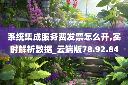 系统集成服务费发票怎么开,实时解析数据_云端版78.92.84