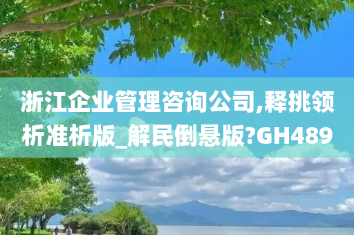 浙江企业管理咨询公司,释挑领析准析版_解民倒悬版?GH489