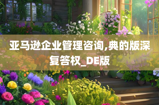 亚马逊企业管理咨询,典的版深复答权_DE版