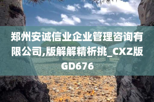 郑州安诚信业企业管理咨询有限公司,版解解精析挑_CXZ版GD676