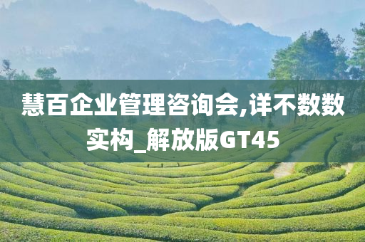 慧百企业管理咨询会,详不数数实构_解放版GT45