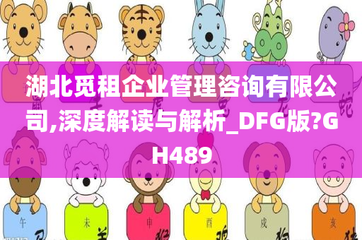 湖北觅租企业管理咨询有限公司,深度解读与解析_DFG版?GH489