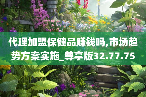 代理加盟保健品赚钱吗,市场趋势方案实施_尊享版32.77.75