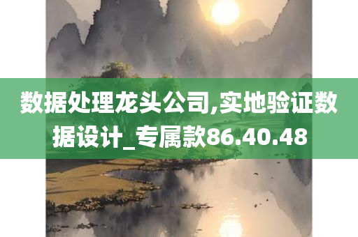 数据处理龙头公司,实地验证数据设计_专属款86.40.48