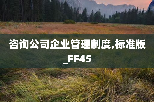 咨询公司企业管理制度,标准版_FF45