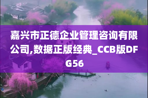 嘉兴市正德企业管理咨询有限公司,数据正版经典_CCB版DFG56