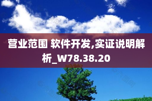 营业范围 软件开发,实证说明解析_W78.38.20