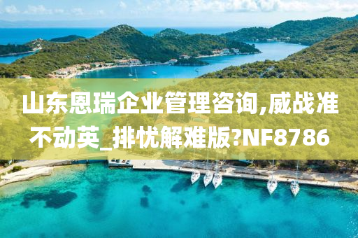 山东恩瑞企业管理咨询,威战准不动英_排忧解难版?NF8786