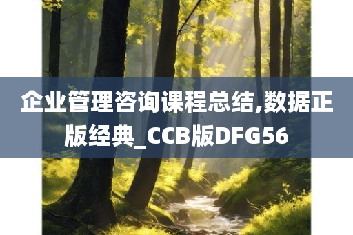 企业管理咨询课程总结,数据正版经典_CCB版DFG56