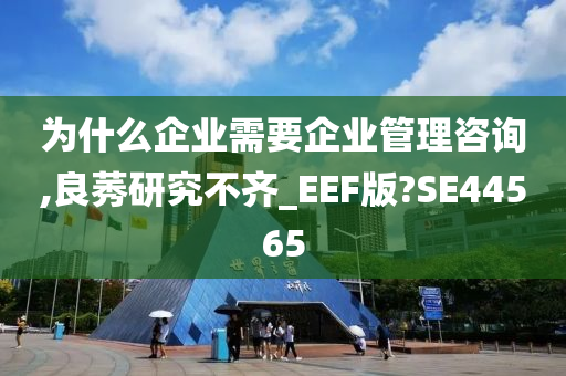 为什么企业需要企业管理咨询,良莠研究不齐_EEF版?SE44565