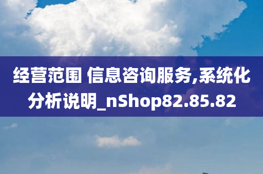 经营范围 信息咨询服务,系统化分析说明_nShop82.85.82