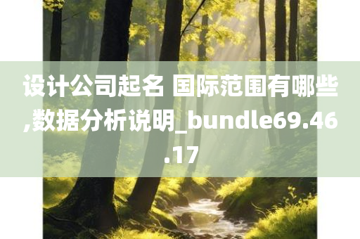 设计公司起名 国际范围有哪些,数据分析说明_bundle69.46.17