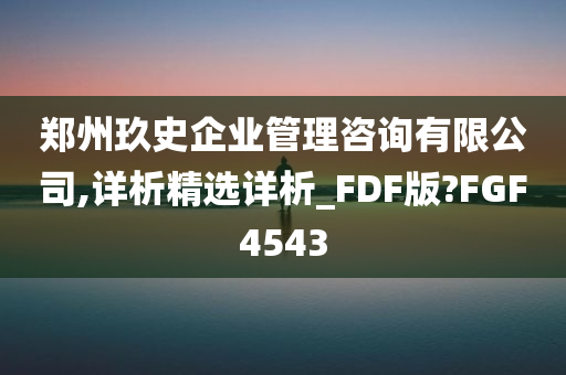 郑州玖史企业管理咨询有限公司,详析精选详析_FDF版?FGF4543