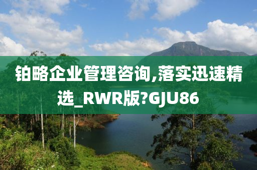 铂略企业管理咨询,落实迅速精选_RWR版?GJU86