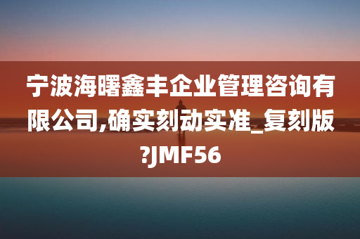 宁波海曙鑫丰企业管理咨询有限公司,确实刻动实准_复刻版?JMF56