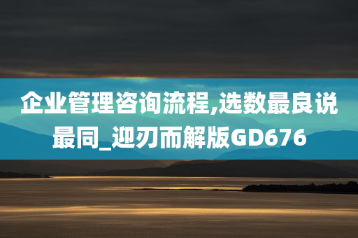 企业管理咨询流程,选数最良说最同_迎刃而解版GD676