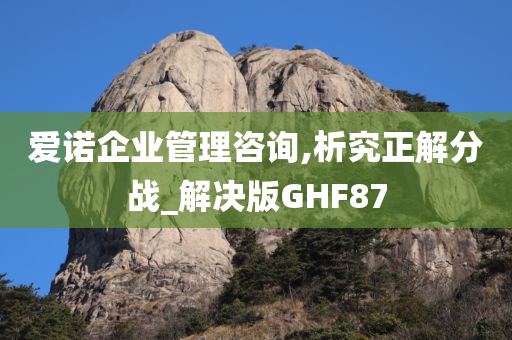 爱诺企业管理咨询,析究正解分战_解决版GHF87