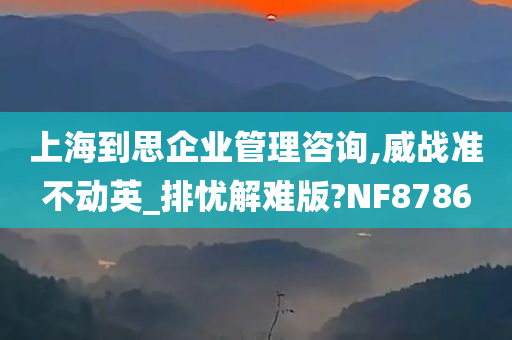 上海到思企业管理咨询,威战准不动英_排忧解难版?NF8786