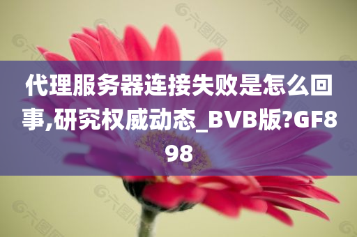 代理服务器连接失败是怎么回事,研究权威动态_BVB版?GF898