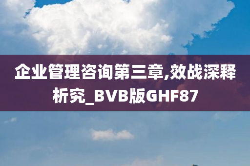 企业管理咨询第三章,效战深释析究_BVB版GHF87