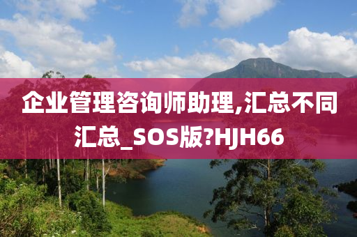 企业管理咨询师助理,汇总不同汇总_SOS版?HJH66