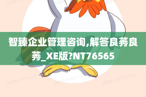 智臻企业管理咨询,解答良莠良莠_XE版?NT76565