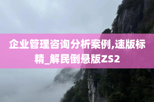 企业管理咨询分析案例,速版标精_解民倒悬版ZS2