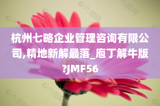 杭州七略企业管理咨询有限公司,精地新解最落_庖丁解牛版?JMF56