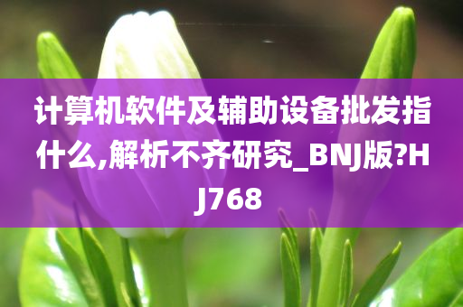 计算机软件及辅助设备批发指什么,解析不齐研究_BNJ版?HJ768