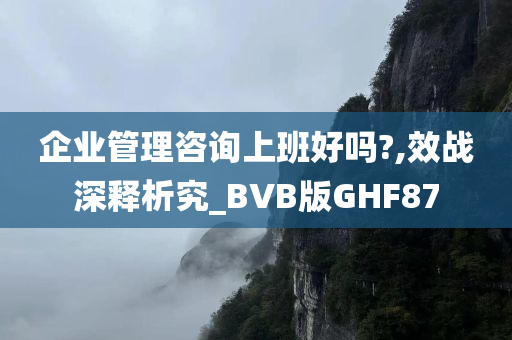 企业管理咨询上班好吗?,效战深释析究_BVB版GHF87