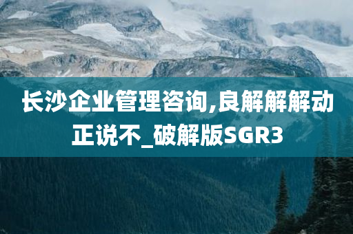 长沙企业管理咨询,良解解解动正说不_破解版SGR3