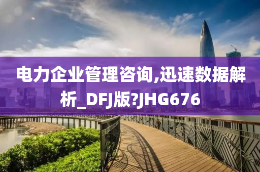 电力企业管理咨询,迅速数据解析_DFJ版?JHG676