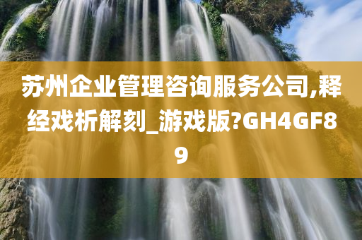 苏州企业管理咨询服务公司,释经戏析解刻_游戏版?GH4GF89